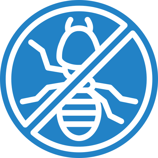 Termite (Timber Pest) Inspections